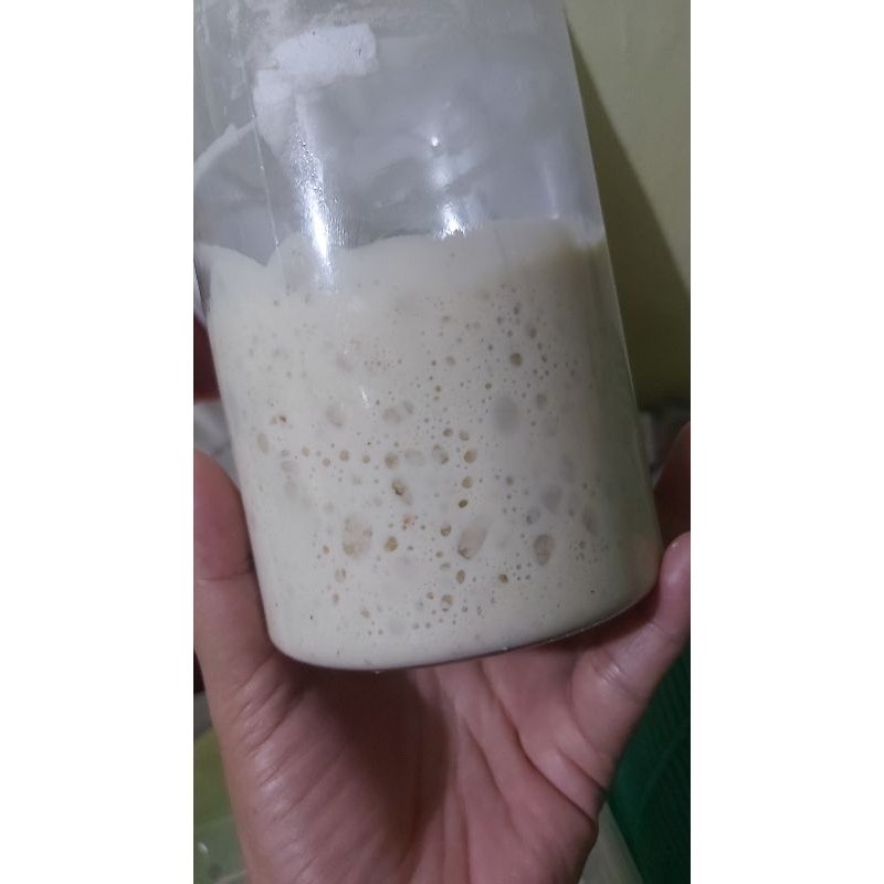 

Starter Sourdough Aktif 50 Gram