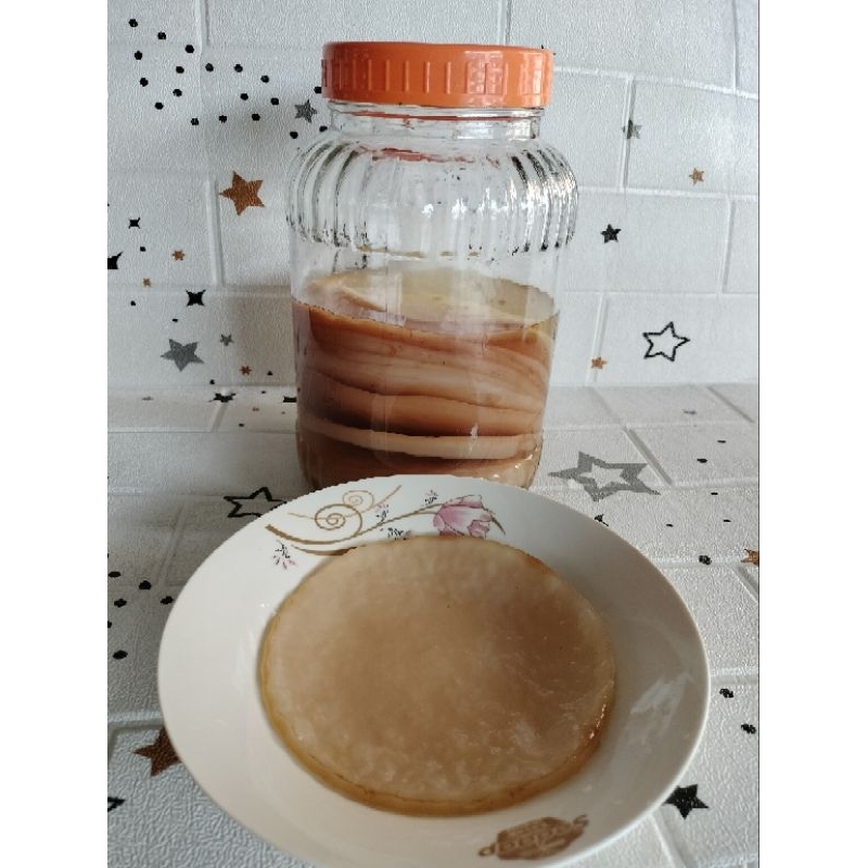 

Jamur Scoby Kombucha Premium 13-14 cm Tebal + stater