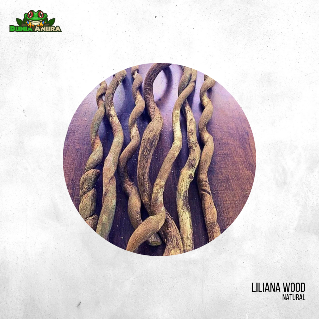 Kayu Liliana (Natural vivarium wood)