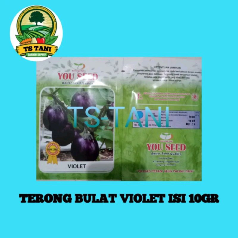 

bibit Terong bulat violet you seed isi 10gr