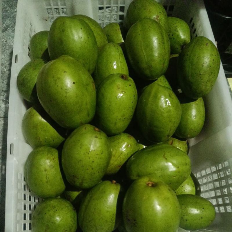 

kedondong tua pohon fresh kriuk kriuk 1kg isi 3-4 buah (super jumbo)