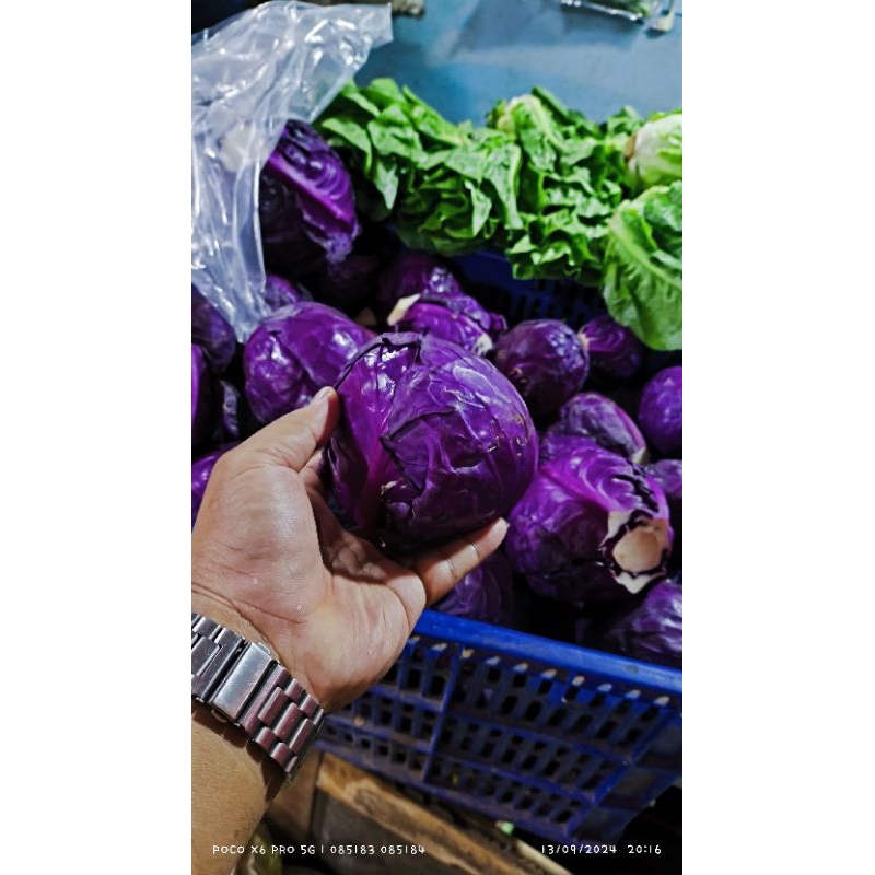 

Sayur Kol Ungu Fresh 1KG