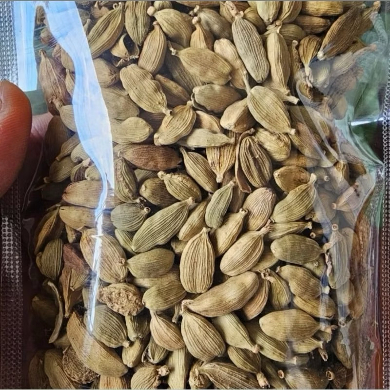 

Kapulaga Arab 100gr - Kapulaga Hijau - Kapulaga India Kualitas Bagus