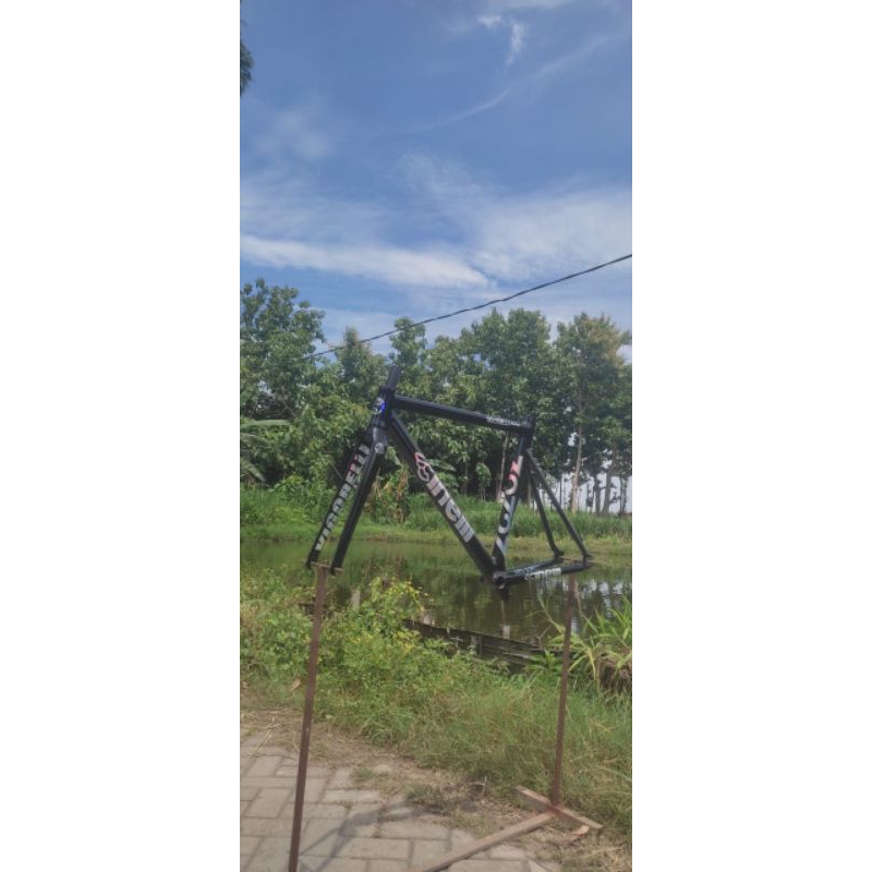 frameset cinelli vigorelli custom steel