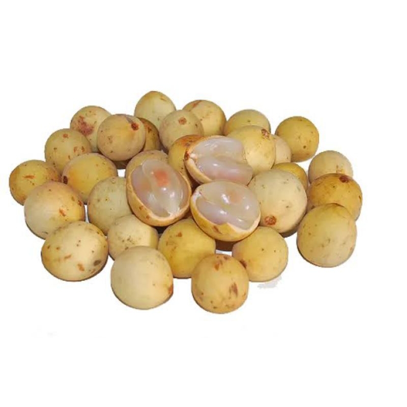

Buah Duku Pontianak Manis Segar
