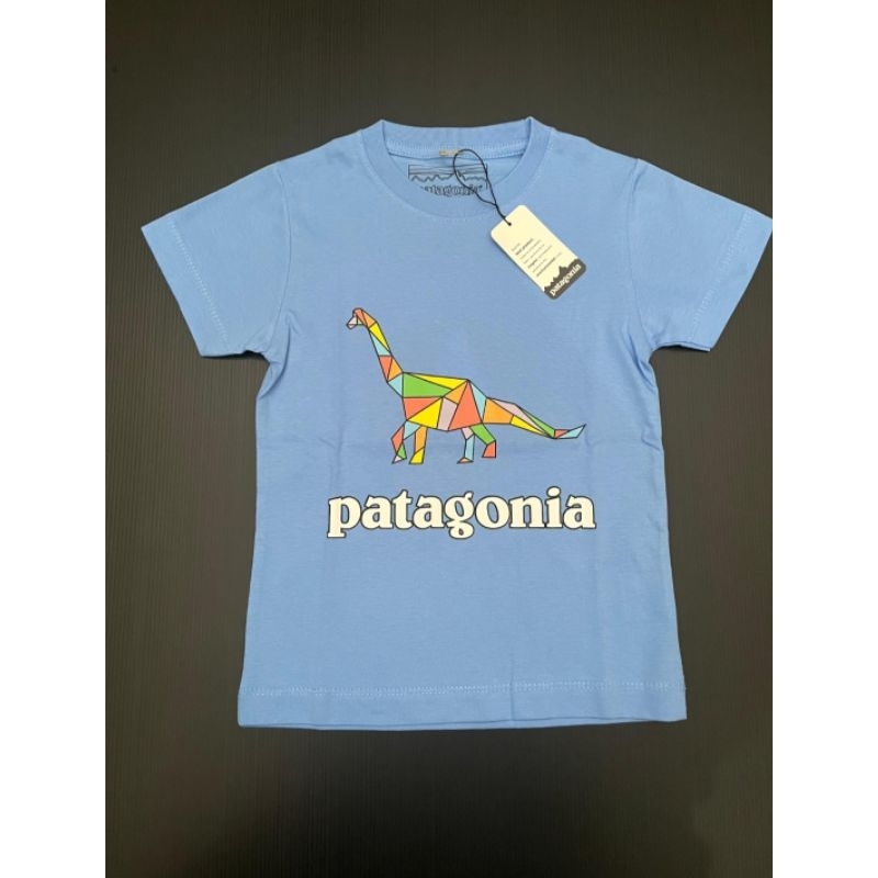 Kaos Baju Anak Kids Branded Patagonia