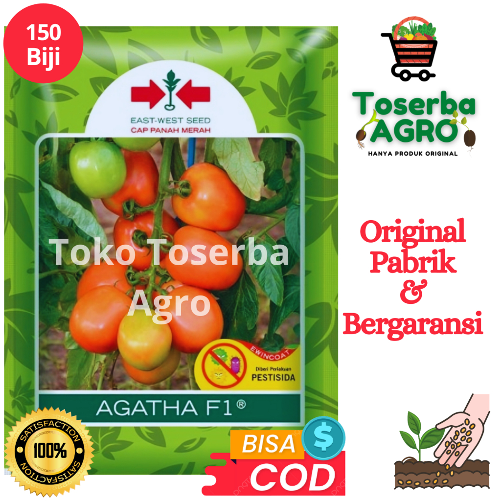 Benih Bibit Tomat Buah Super Besar AGATHA F1 150 Biji Cap Panah Merah