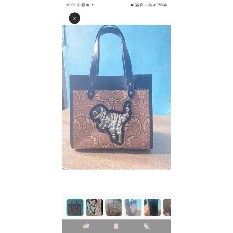 tas coach ori