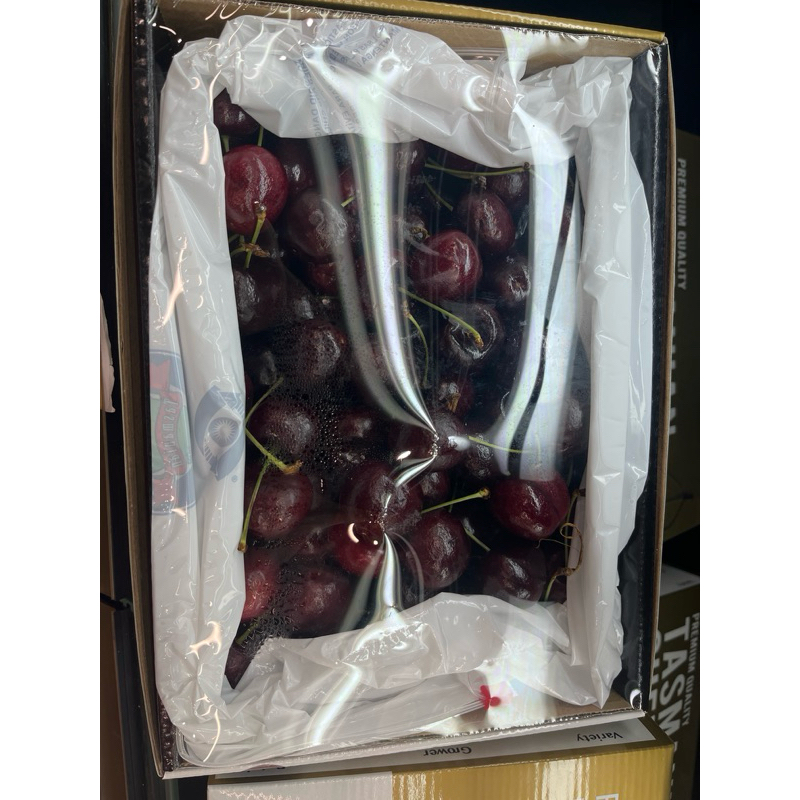 

CHERRY TAMANIA 43 32+