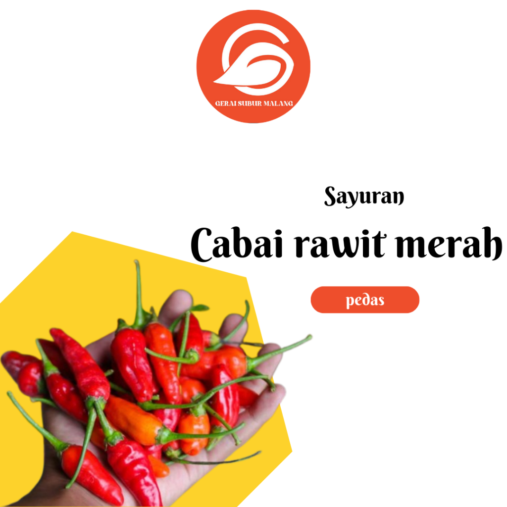 

Cabe / Cabai rawit merah super segar 1kg | siap untuk dimasak