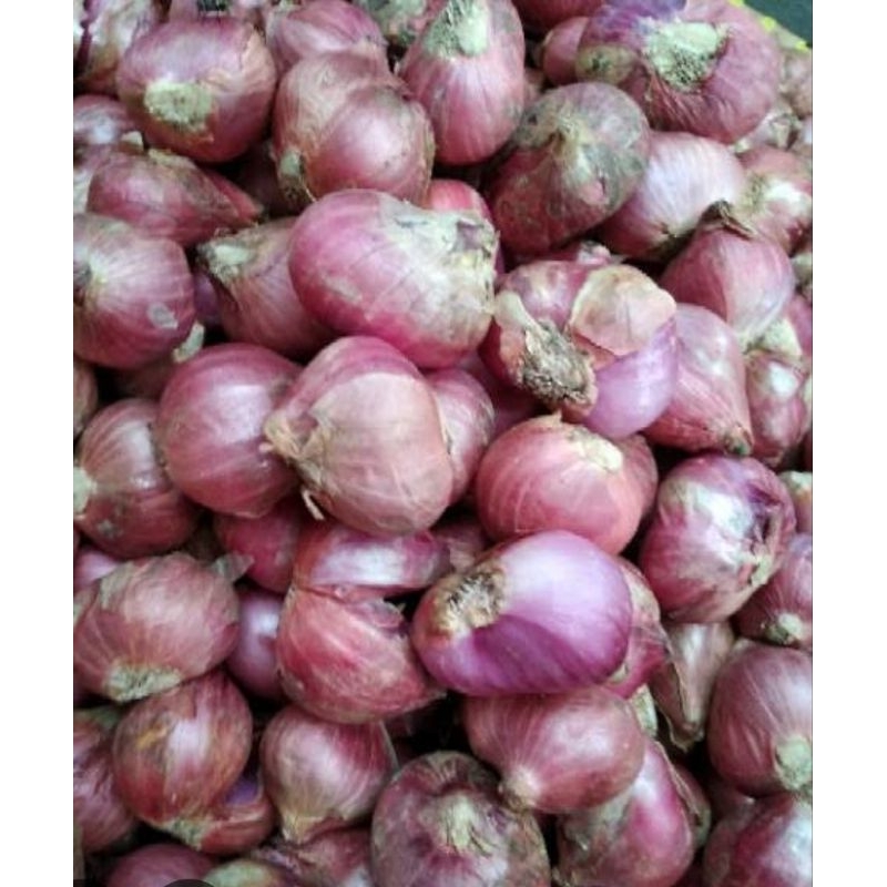 

bawang merah solok fresh 1000 g