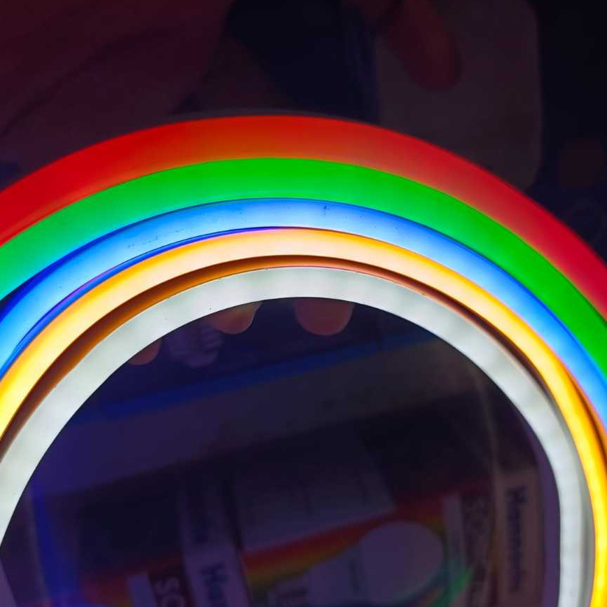 LED Neon Flex / Strip LED Neon / Lampu Selang PerMeter AC 220V