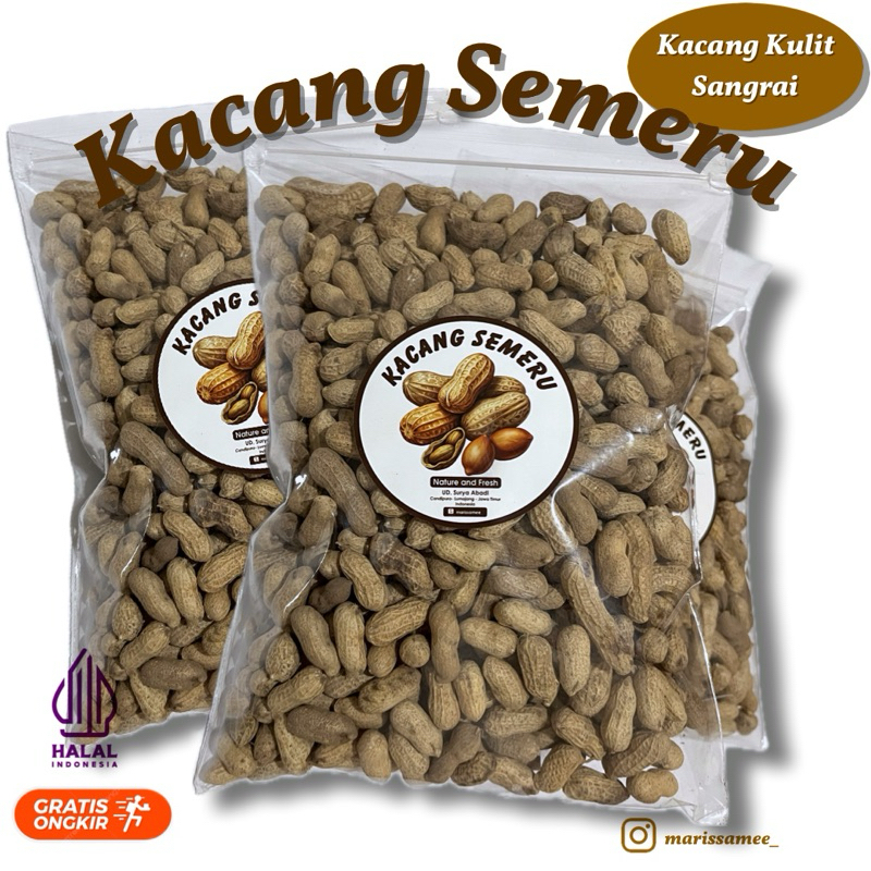 

KACANG KULIT SANGRAI BENDO 400 GRAM