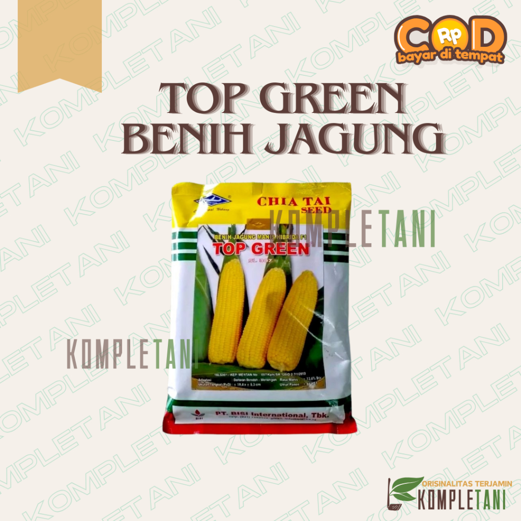 BENIH JAGUNG MANIS HIBRIDA TOP GREEN 250 GRAM Cap Kapal Terbang