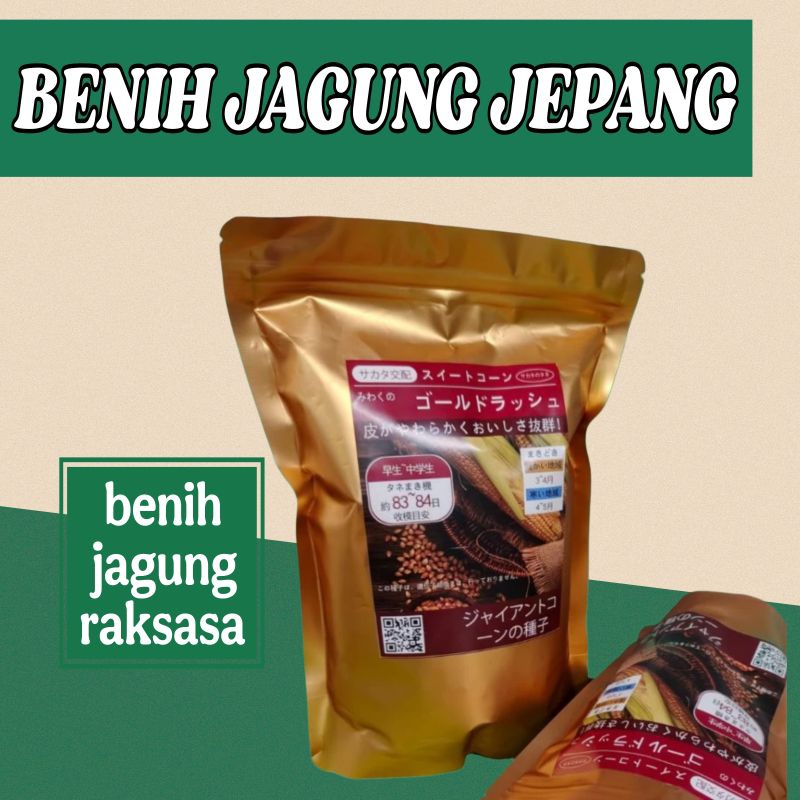 [COD] BENIH/BIJI JAGUNG RAKSASA IMPORT PREMIUM/ BENIH JAGUNG JEPANG JAGUNG RAKSASA