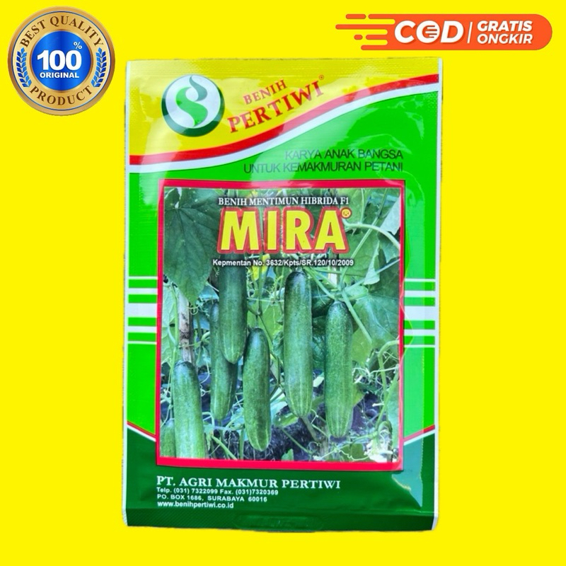 Benih Timun MIRA F1 - Mentimun hibrida- Benih Pertiwi