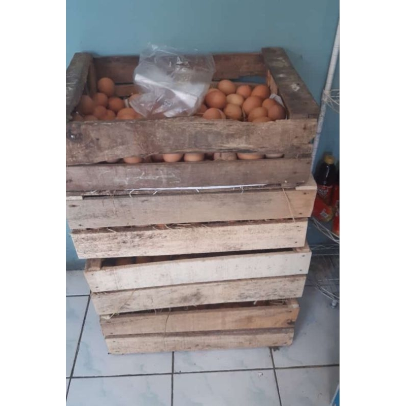 

Telur Omega Jogja Telur Ayam Omega 1KG Telur Ayam 1 kilo