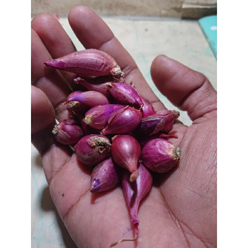 

bawang merah brebes berukuran kecil 1kg