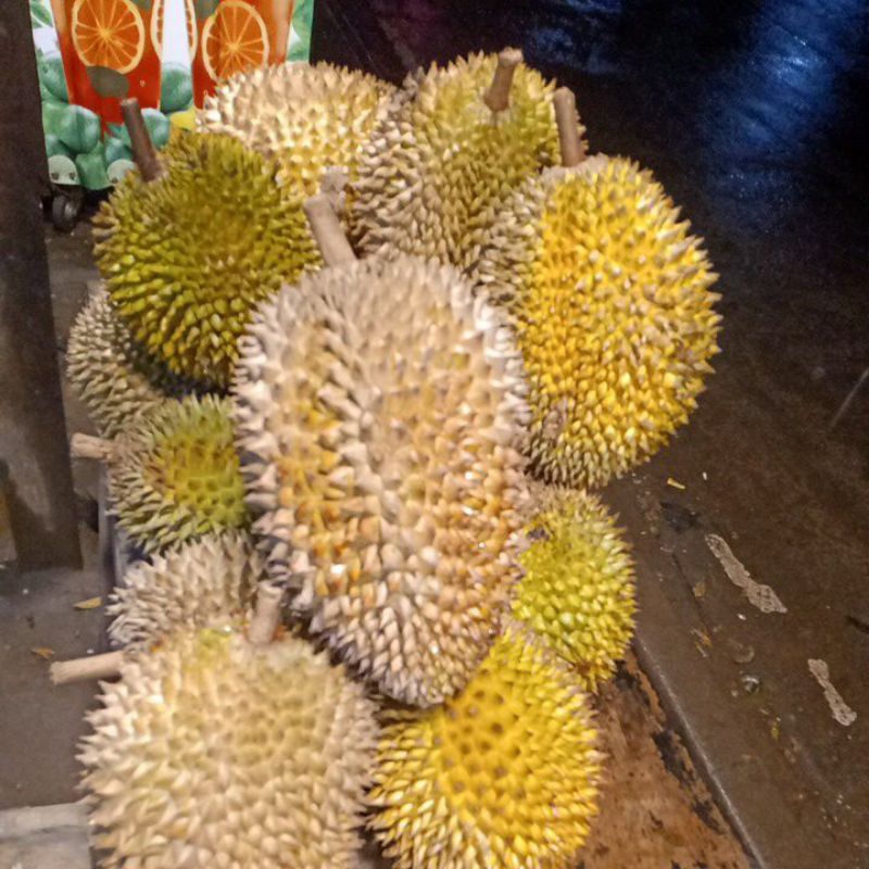 

Durian