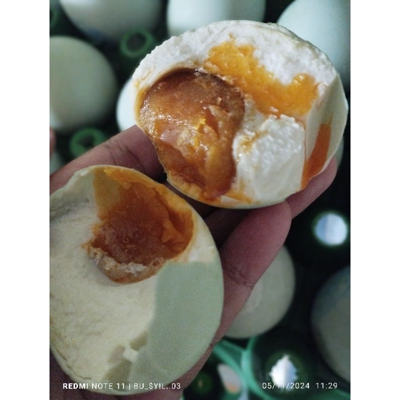 

TELUR ASIN OMEGA BESAR GREAT AB MASIR & GURIH KHAS BREBES