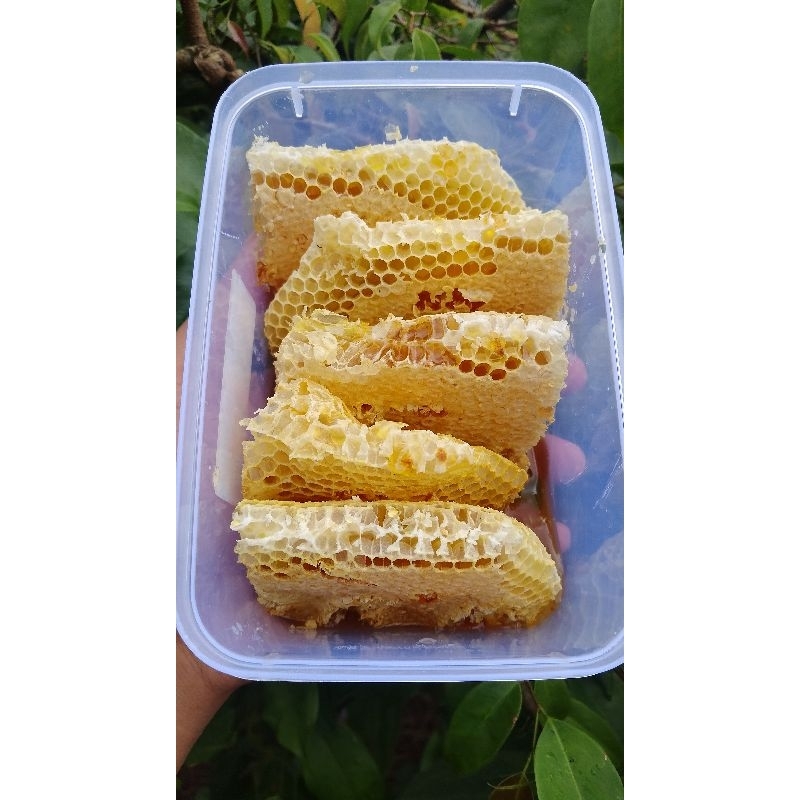 

Madu sarang Apis cerana liar 250gr