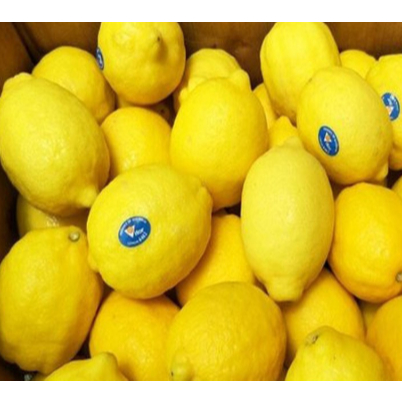 

Jeruk Lemon Import Fresh 1Kg Berkualitas