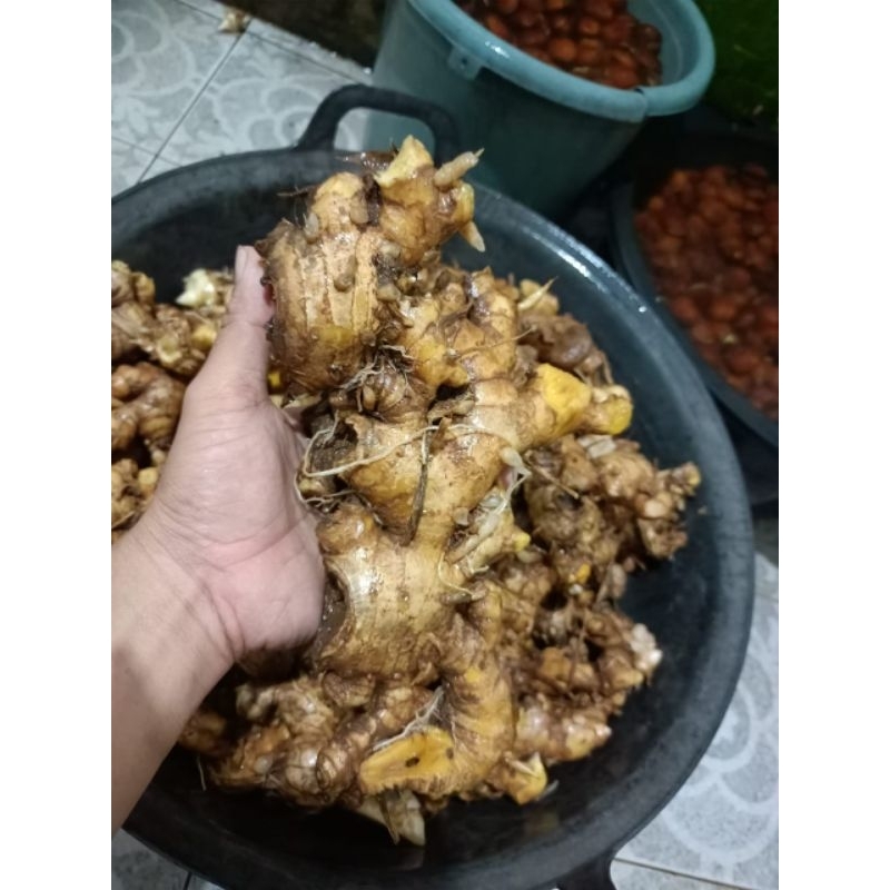 

Benggle segar bersih, banggle segar bersih 1kg