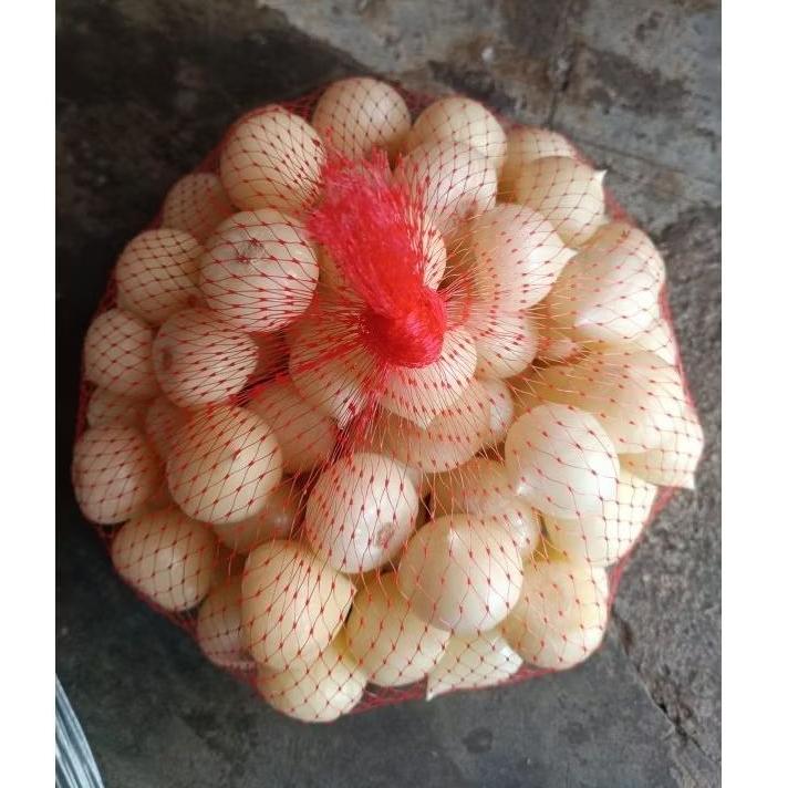 

Bawang Putih Tunggal Kupas 1kg ukuran Besar