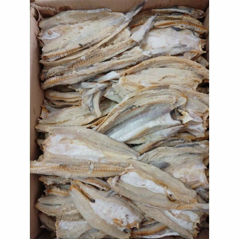 

Ikan asin Bloso gabus laut daging tebal packing aman 500gr