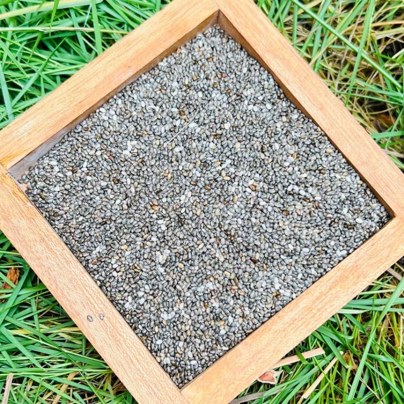 

Biji Chia Seed Kering Organic 50gr