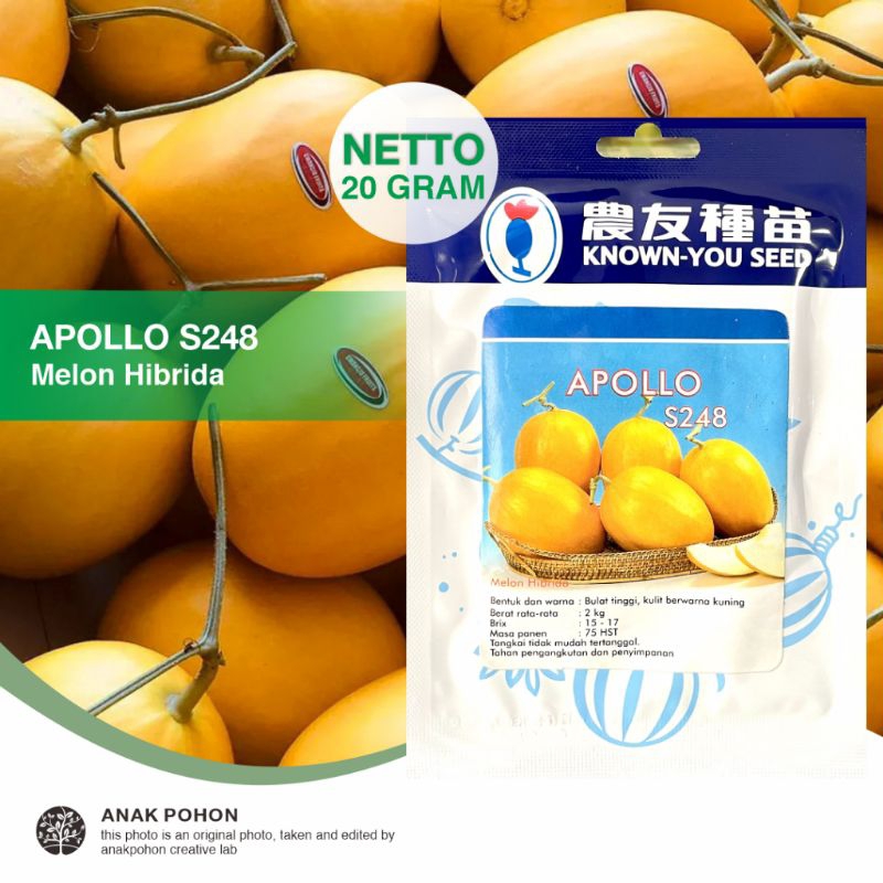 Benih Melon Golden Apollo f1 20 gram