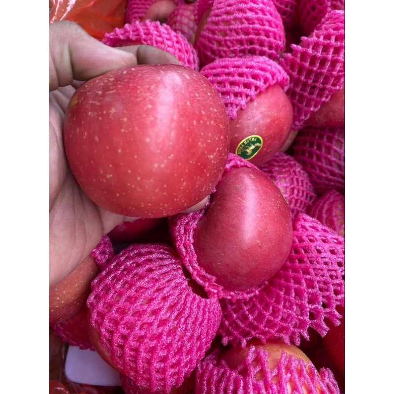 

buah apel - sabuga medan