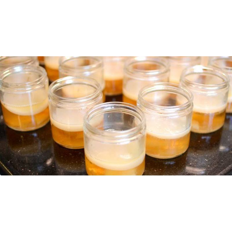 

MAR Kombucha SCOBY Bonus Starter