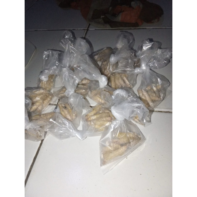 per 1 ekor pompis/kepompong ulet pisang