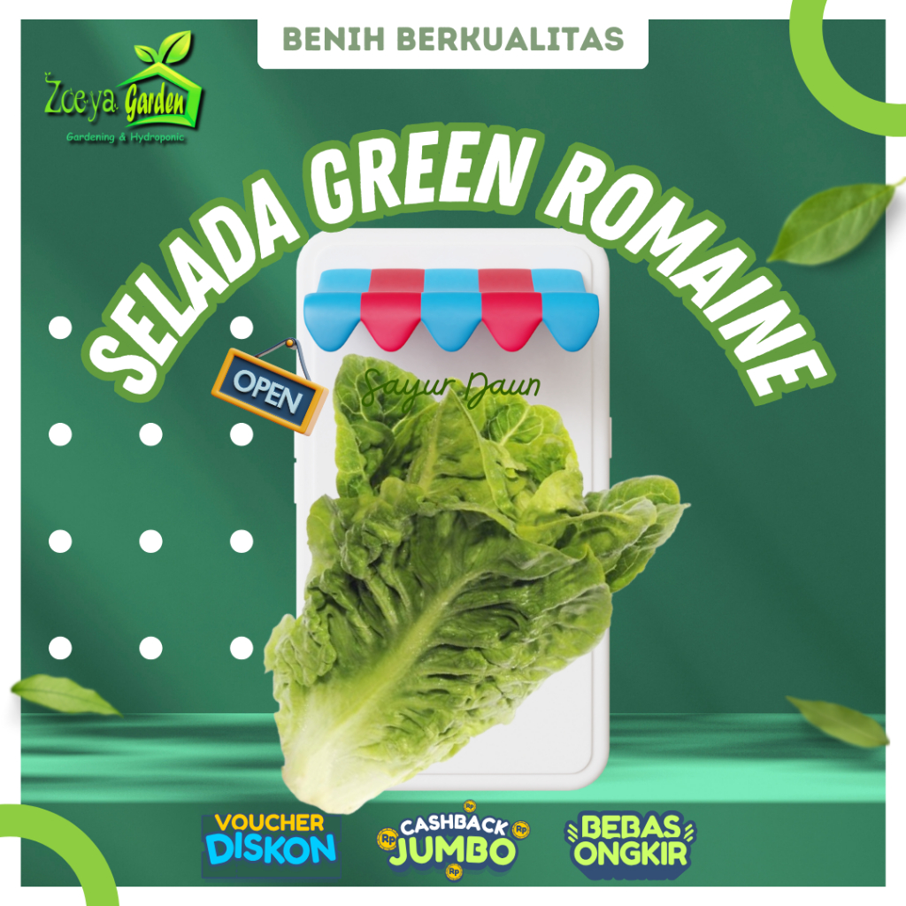 Biji / Benih / Bibit / Seed Selada Green Romaine