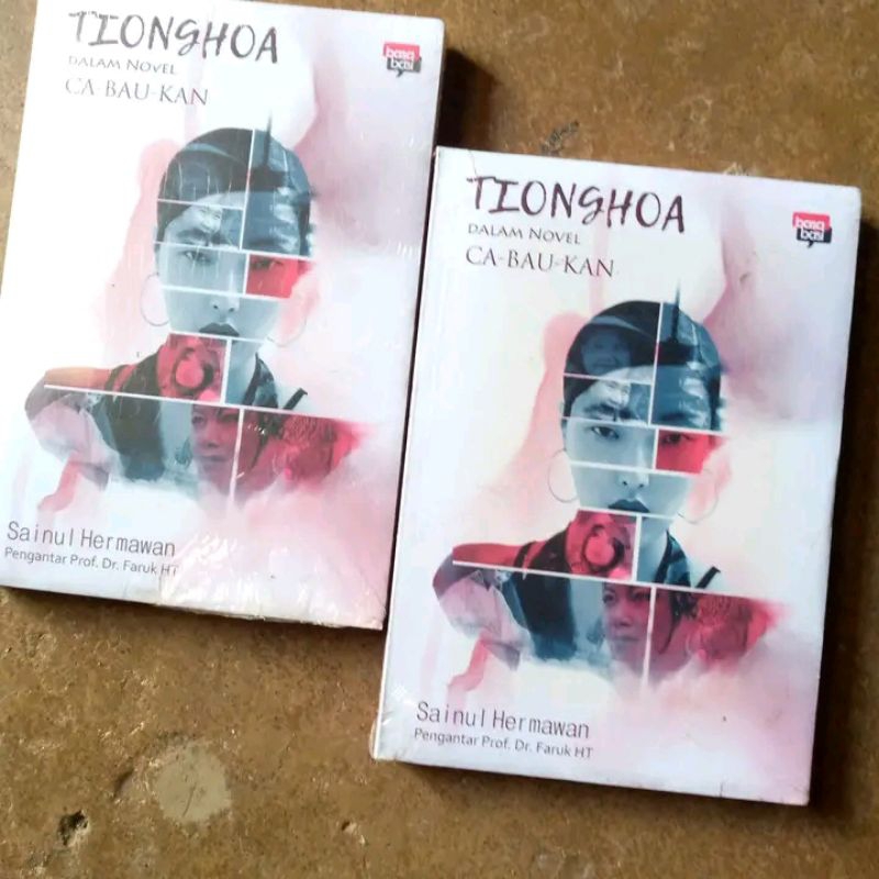 Tionghoa Dalam Novel Ca Bau Kan