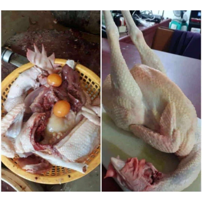 

Ayam Merah Petelur 1 ekor