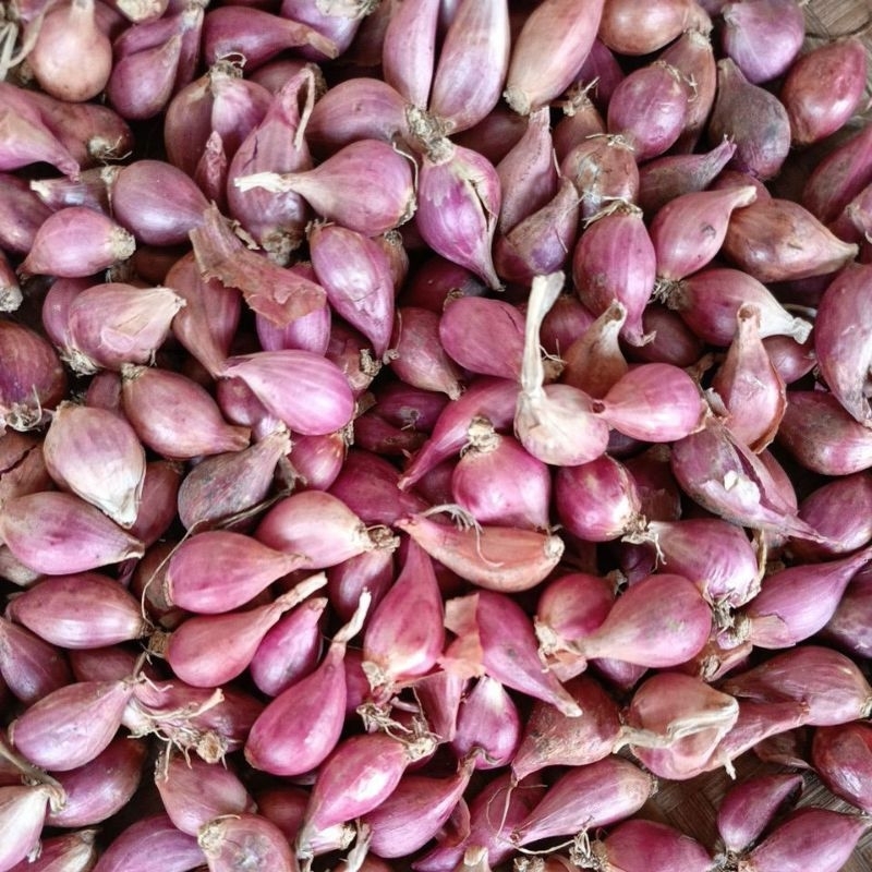 

bawang merah bima brebes lembut UK kecil 1kg