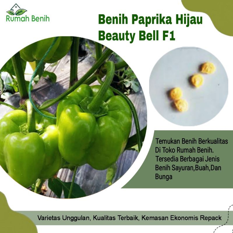 Benih Paprika Hijau Beauty Star F1 / Bibit Paprika Hijau / Biji Benih Paprika Hijau / Benih Sayuran 