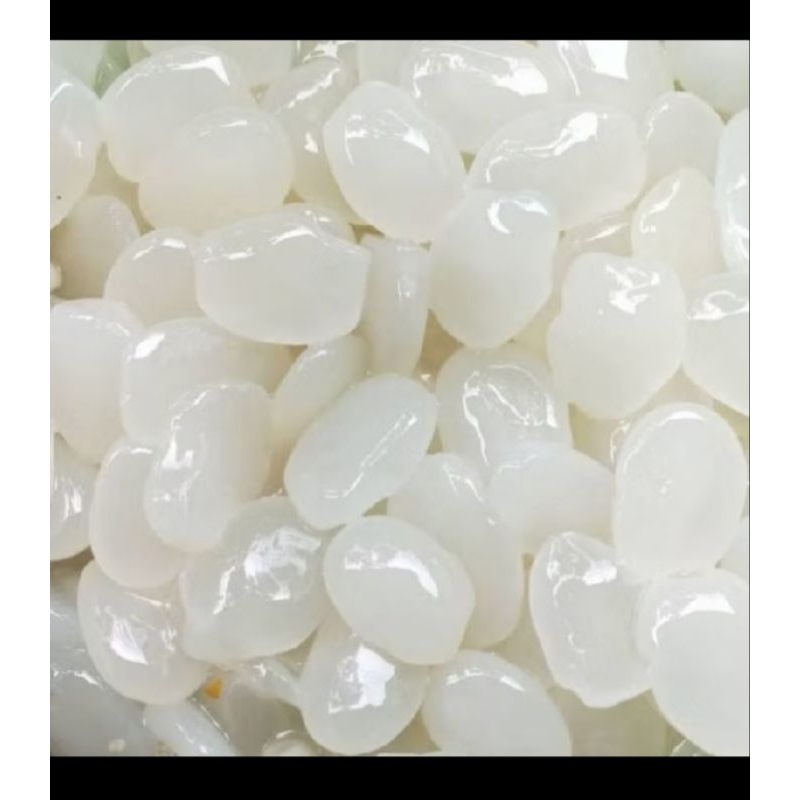 

kolang kaling super ukuran besar dan bersih