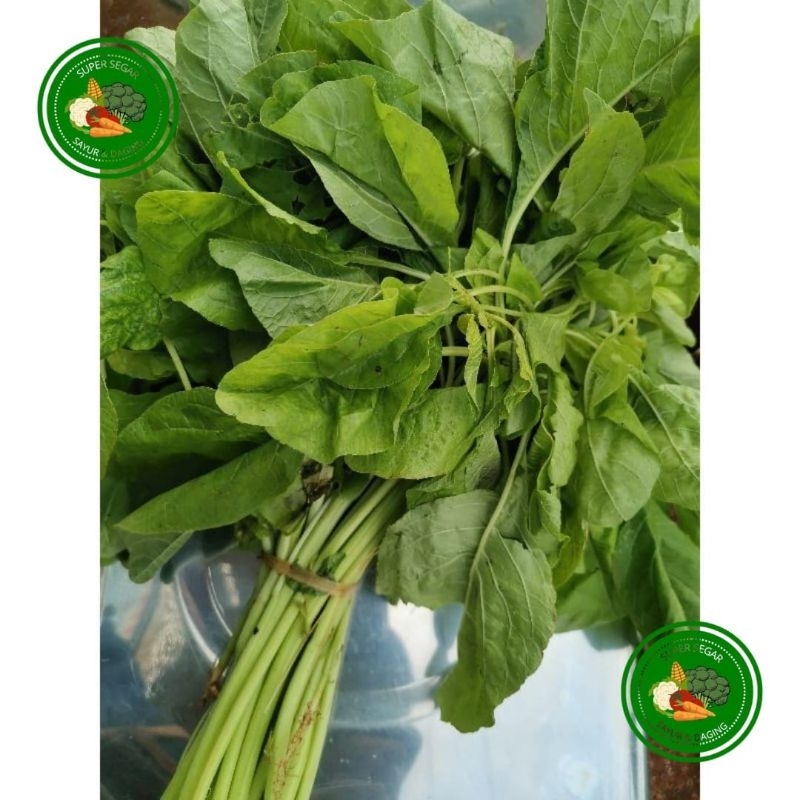 

Super Segar Bayam 1 ikat