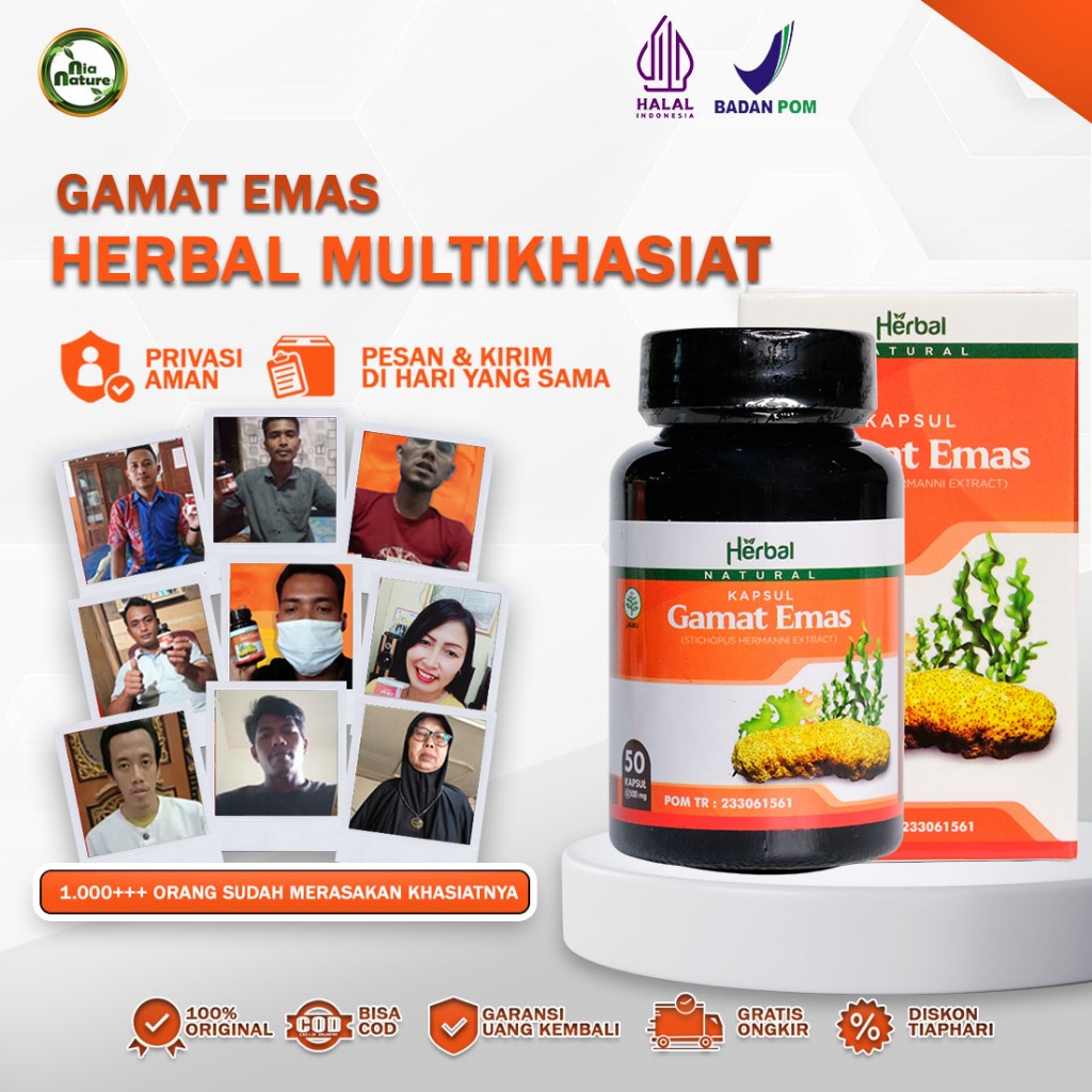 Kapsul Gamat Emas Acep Herbal Dikirim Dari Distributor Resmi - Jaminan Original - 50 Kapsul
