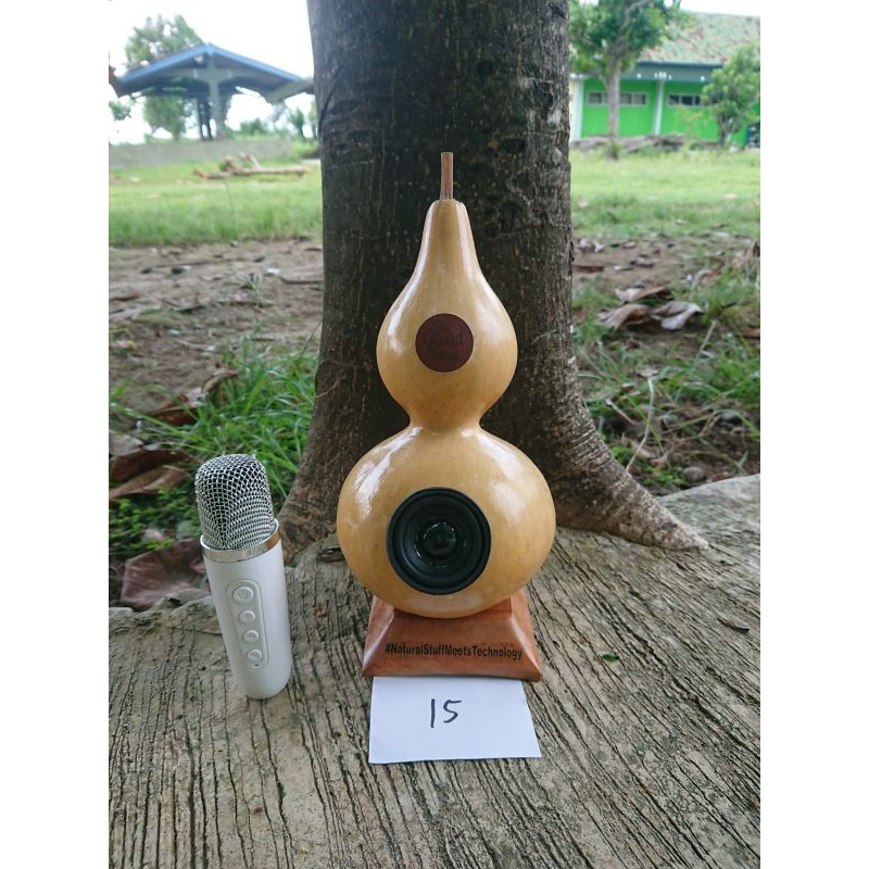 TGS 15 speaker bluetooth karaoke