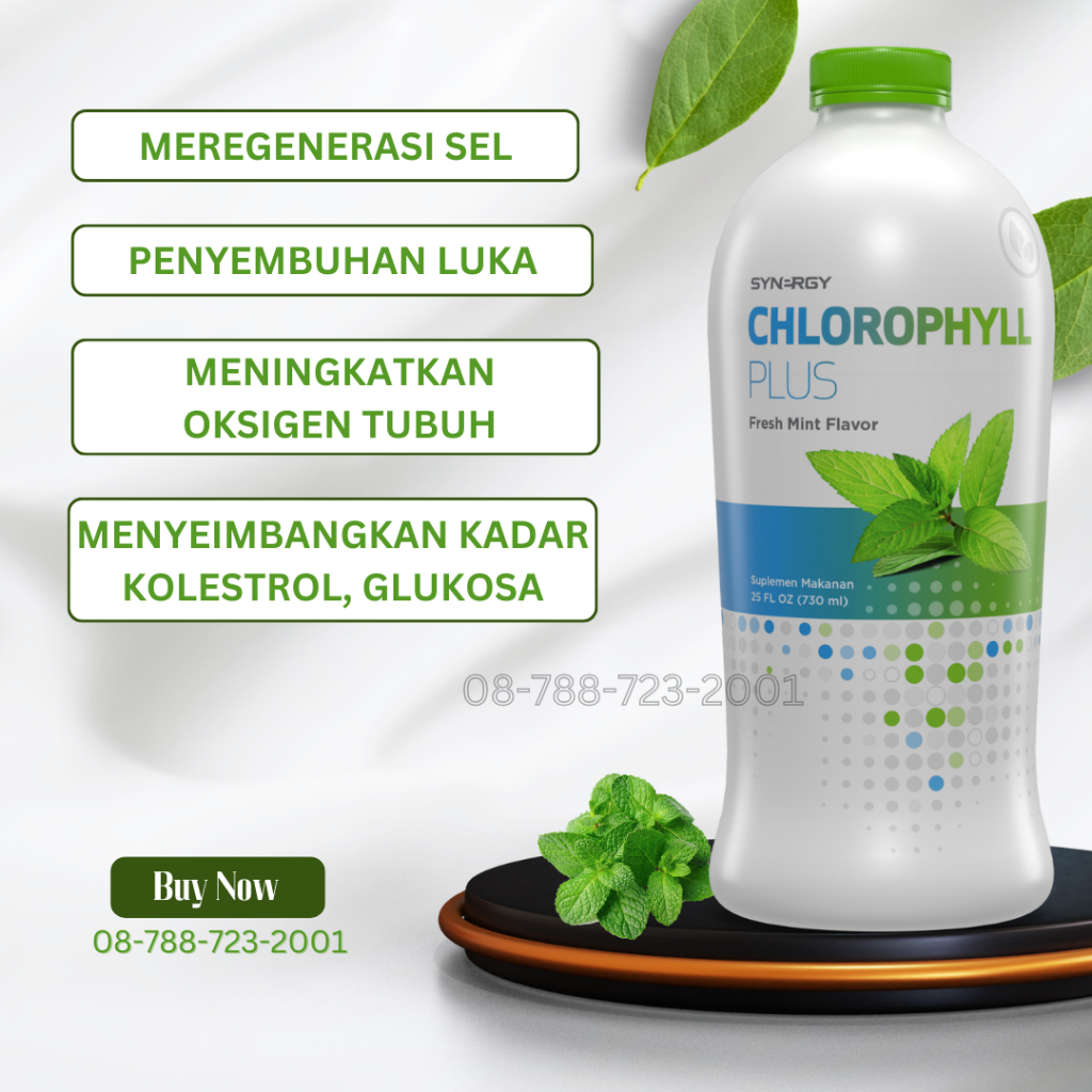

Chlorophyll Minuman Meningkatkan Sistem Peredaran Oksigen