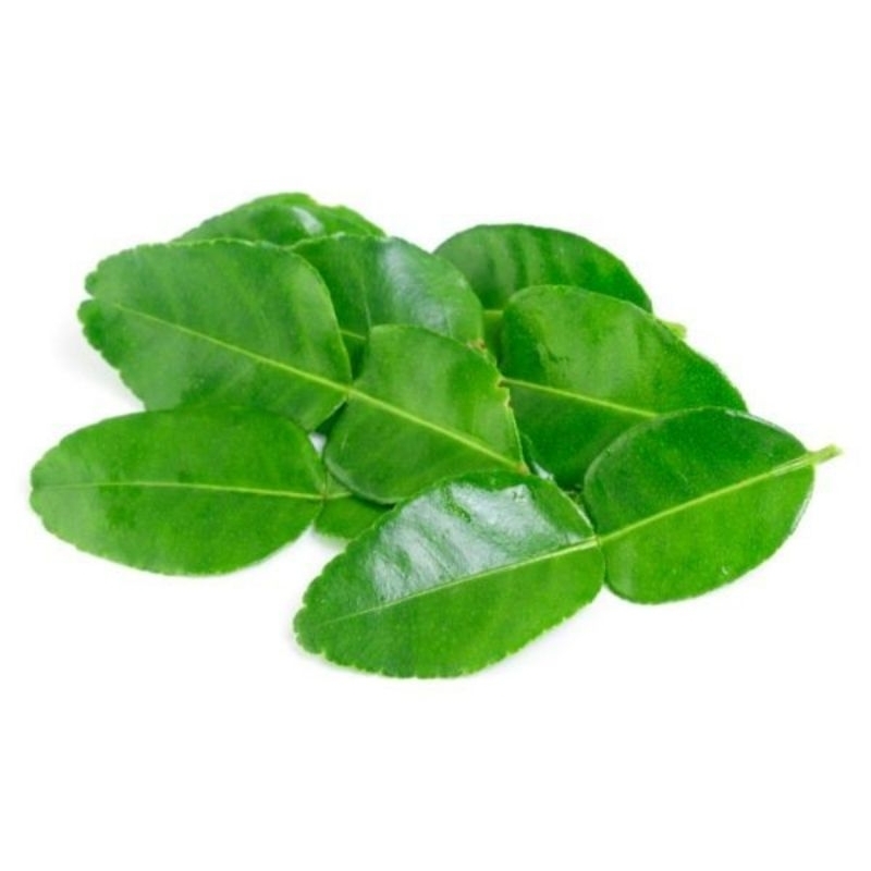 

Daun Jeruk Fresh./Daun Jeruk.
