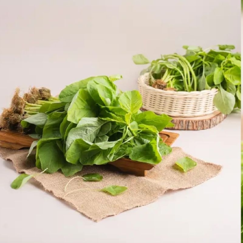 

BAYAM SAYUR BAYAM HIJAU