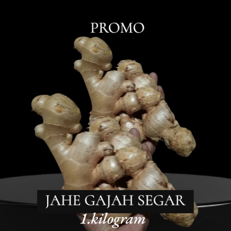 

1 KILOGRAM JAHE GAJAH SEGAR