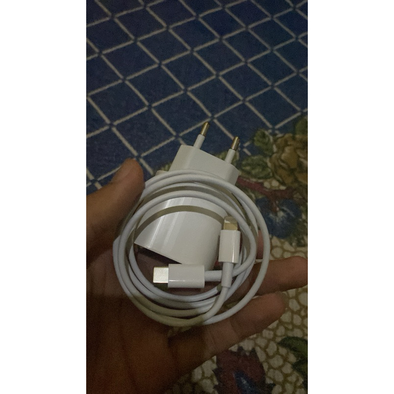 Charger bawaan Iphone 11 Pro