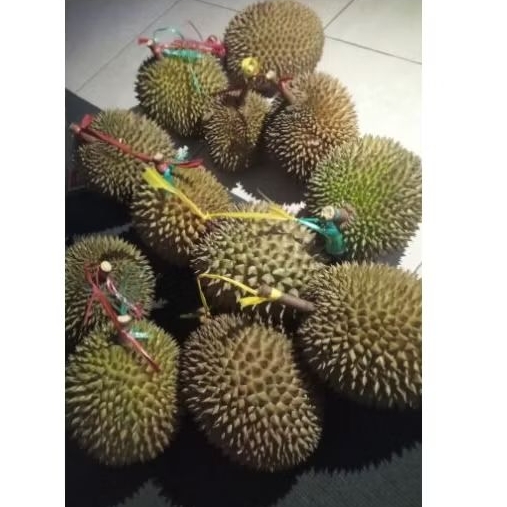 

durian lokal