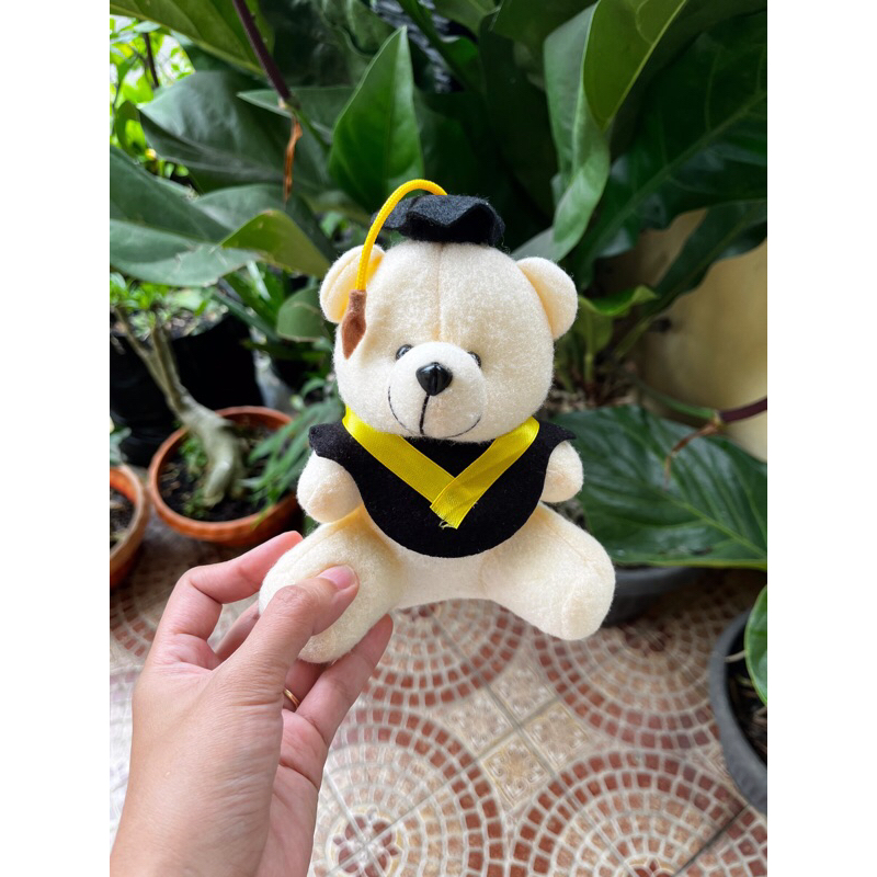 Tambahan aksesoris buket / buket wisuda / buket boneka / buket uang / buket kupu kupu / buket murah 